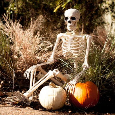 Pose n' Stay Skeleton The Holiday AisleÂ® | Wayfair North America