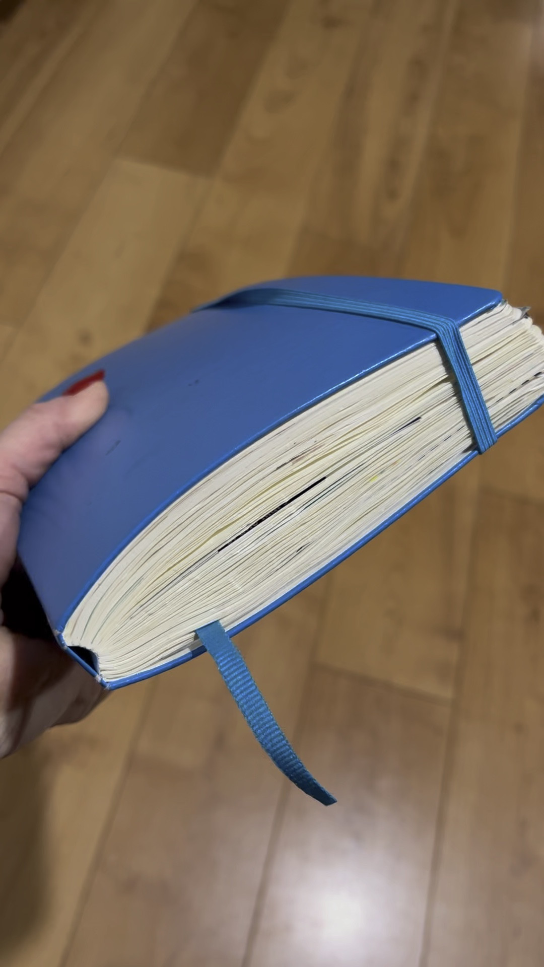 So excited to bullet journal again! This is my completed 2019 journal. #bulletjournal #journal #journaling #newyear #therapy #scrapbooking #calendar #2024 #amazon #amazonfind 

#LTKsalealert #LTKhome #LTKfindsunder50