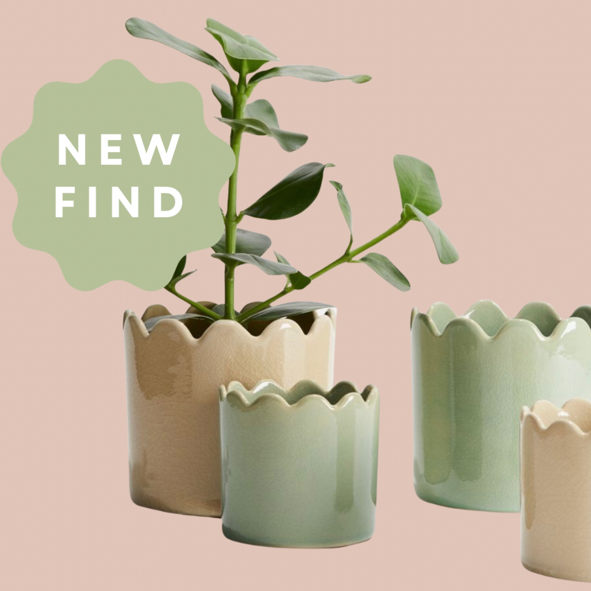 Scalloped wavy planter

#LTKfindsunder50 #LTKhome