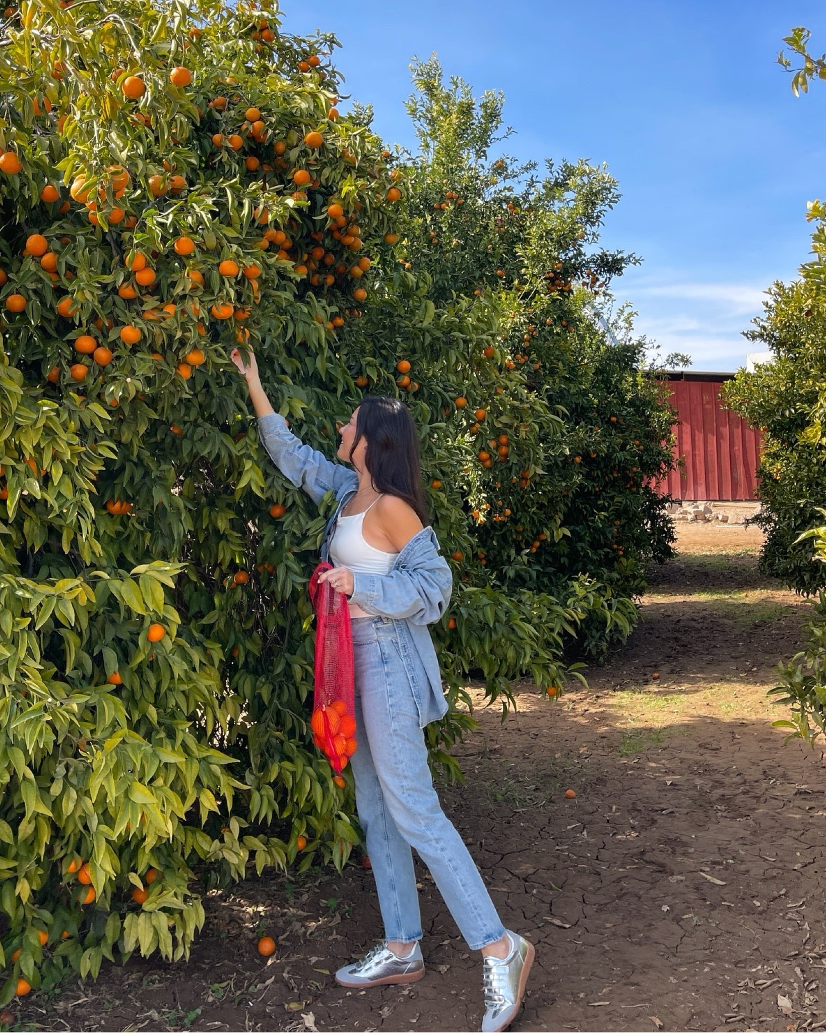 What I wore while orange picking! I love this denim shirt, I sized up in the jeans! 

#LTKStyleTip #LTKSeasonal