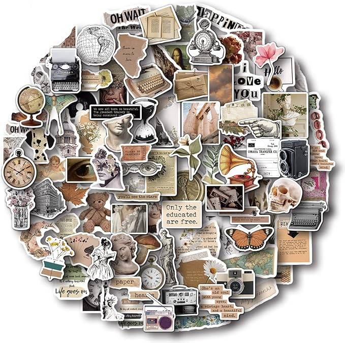 Aowplc 100 Pcs Vintage Stickers, Aesthetic Stickers for Water Bottle, Laptop, Scrapbook, Journali... | Amazon (US)