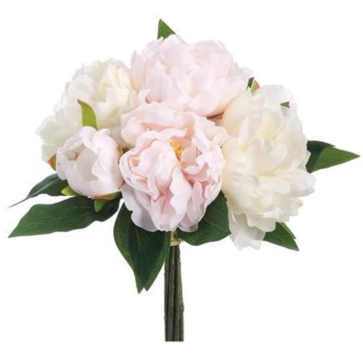 Blush Pink Peony Clusters (Box of 6) | The Enchanted Home