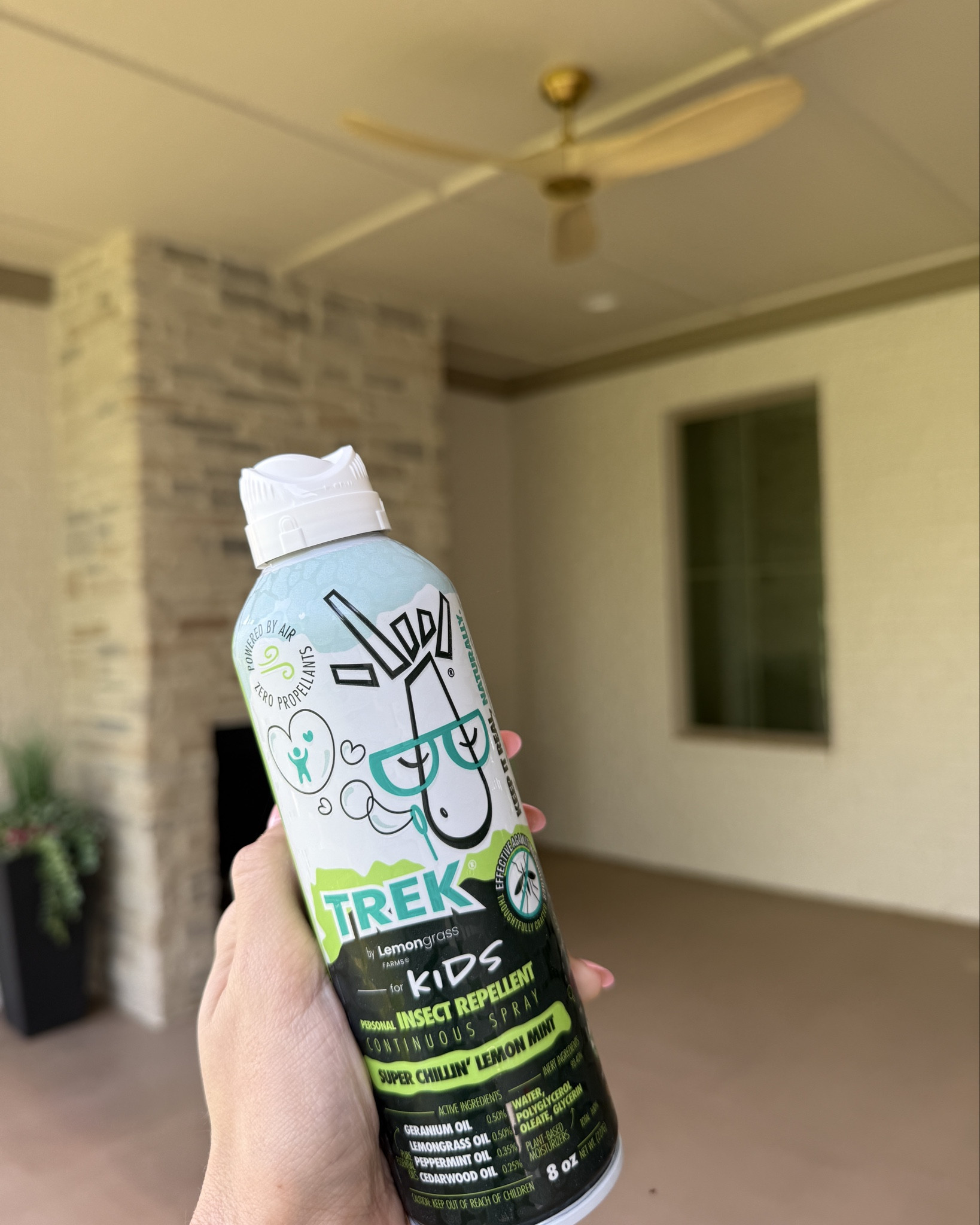 Kids outdoor must haves | tick repellent | insect repellent | bug spray | all natural bug spray | trek spray | amazon finds | tick yard spray | spider repellent | kids insect | garden | spring must haves | yard care | tick bite | kids bug spray | Nat pat | picardian | Avon so soft 

#LTKKids #LTKHome #LTKmomlife