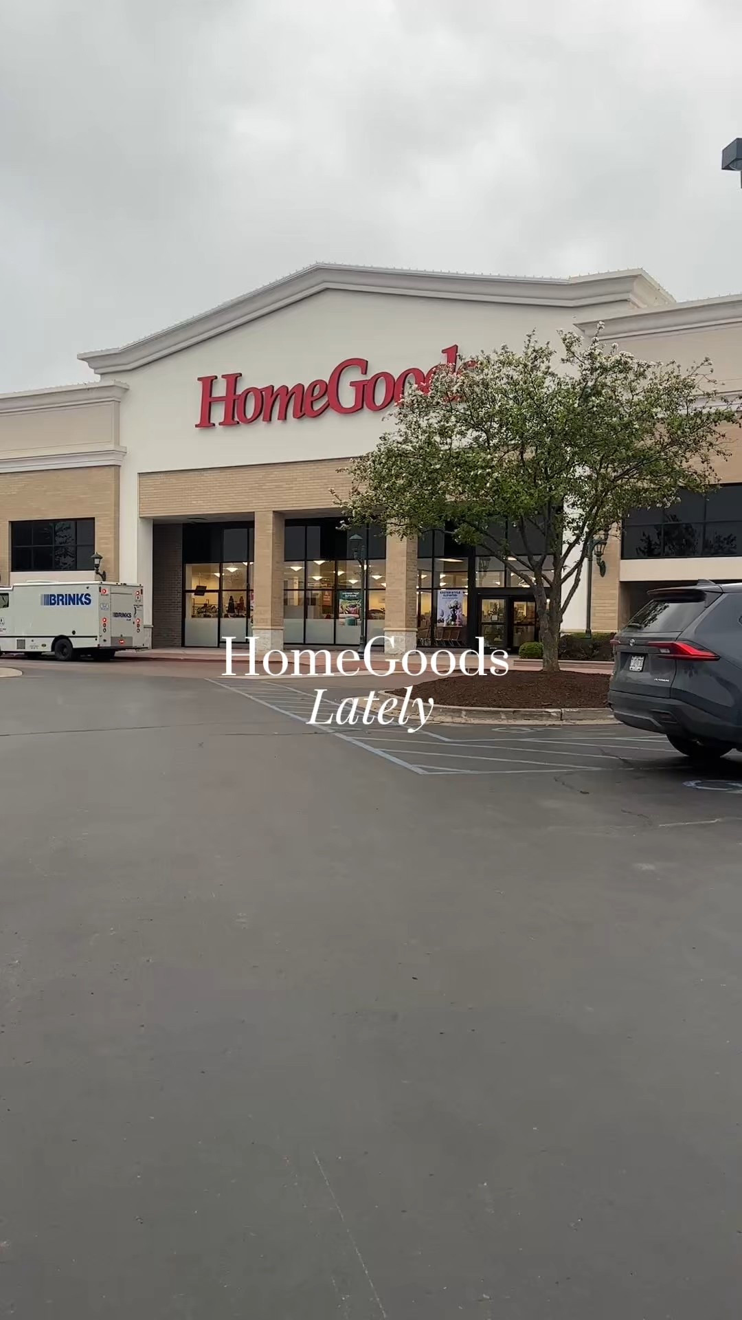 Homegoods Haul!

#LTKFindsUnder50 #LTKHome