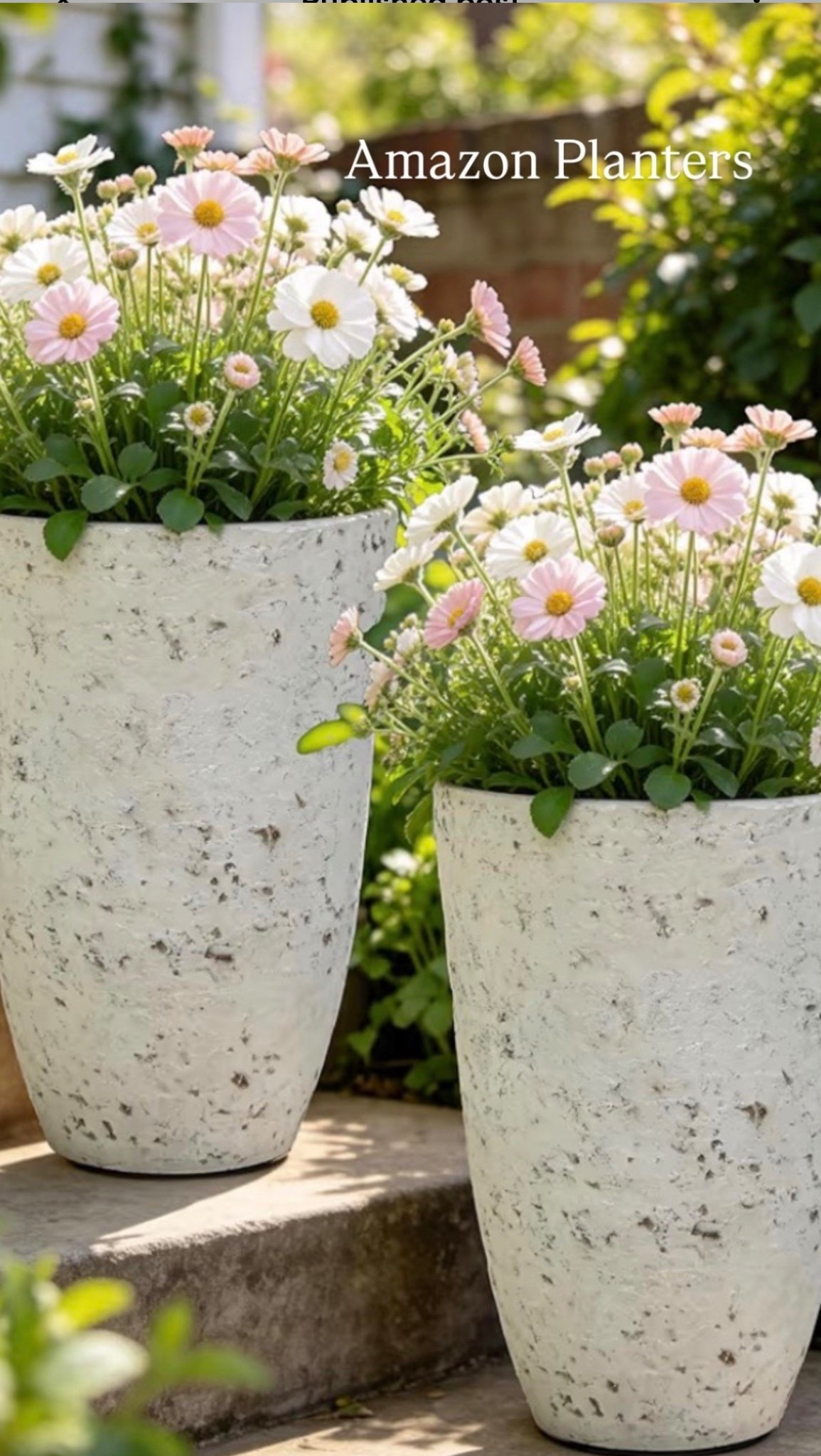 Amazon spring planters 🌸 Affordable outdoor flower pots for patios, porches, and balconies. Perfect for styling tulips, daffodils, and seasonal blooms! #AmazonHomeFinds #OutdoorPlanters #SpringFlowers #PorchDecor 

#LTKdayinmylife #LTKSeasonal #LTKHome