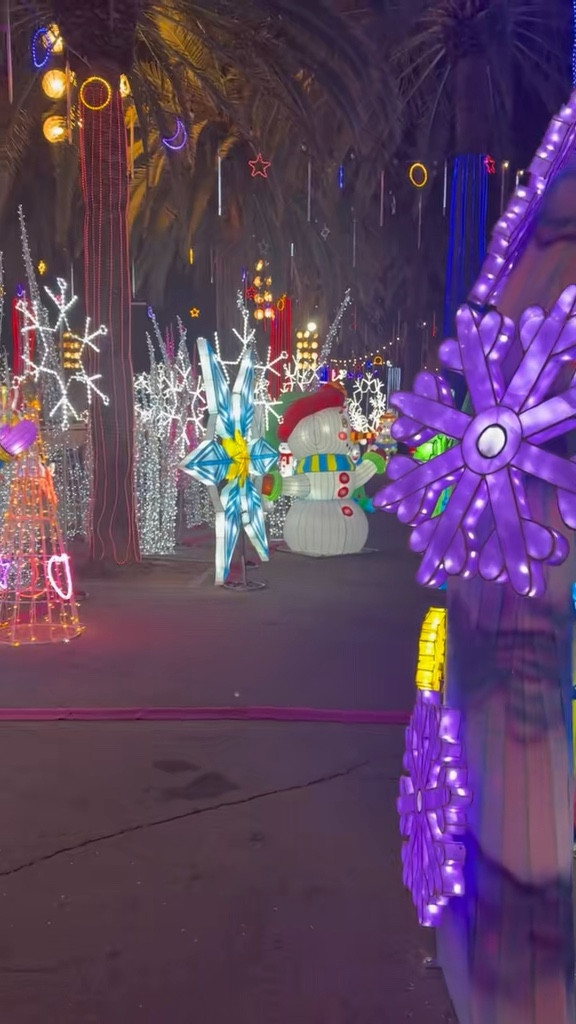 Imaginarium is insane with their Christmas lights every year 

#LTKdayinmylife #LTKSeasonal #LTKHoliday