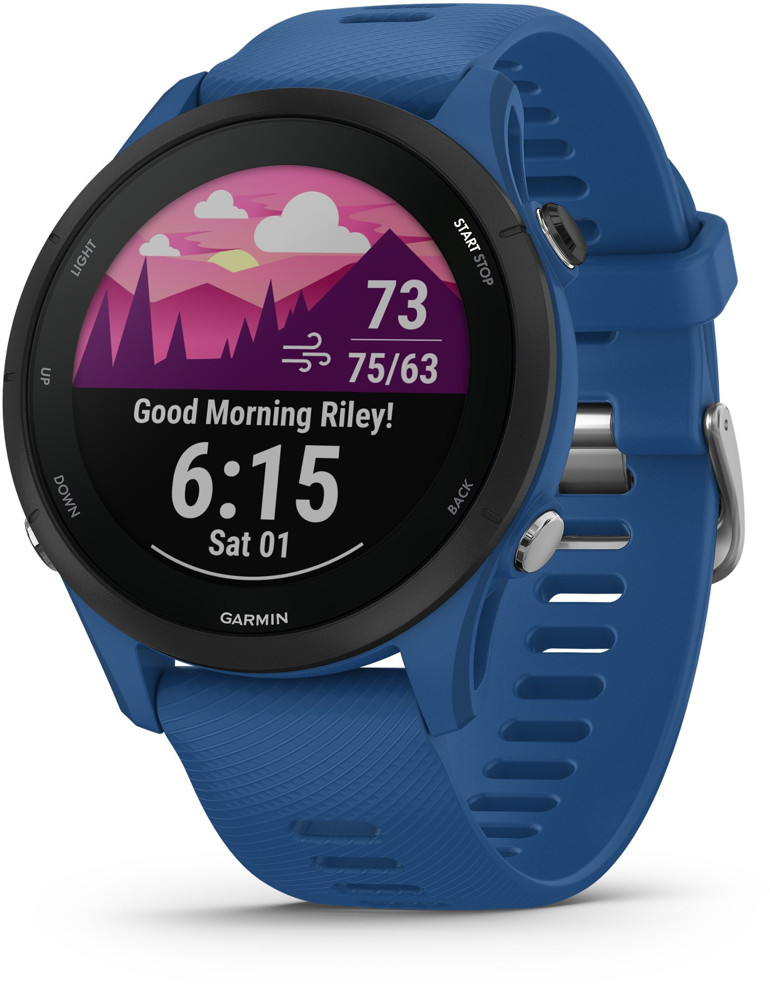 Garmin Forerunner 255 Blue | REI