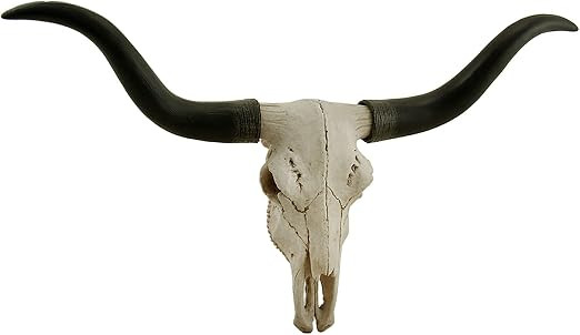 Black & Bone Decorative Longhorn Trophy Skull Wall Sculpture 20 Inch Long | Amazon (US)