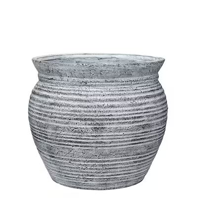 allen + roth 13-in W x 11.25-in H Whitewash Black Terracotta Mixed/Composite Planter Lowes.com | Lowe's