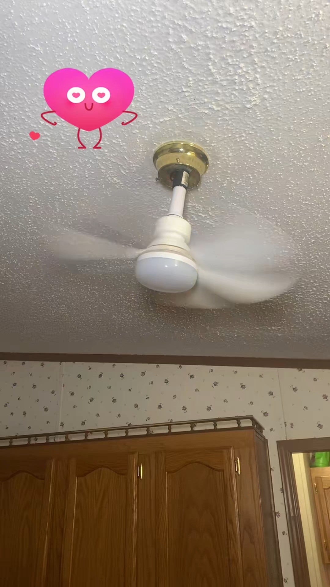 Need a fan but don’t have room for a regular size fan? This fan is perfect and you just screw it into the socket! No extra wiring needed! 

#LTKHome #LTKFindsUnder50