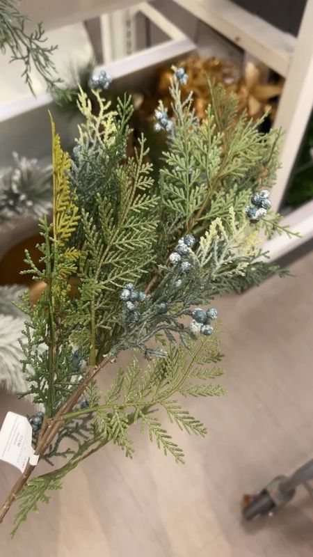 Faux winter stem | cypress and juniper berry stem | evergreen stem | holiday decor | Christmas decor | winter decor | Target 

#LTKSeasonal #LTKhome #LTKHoliday