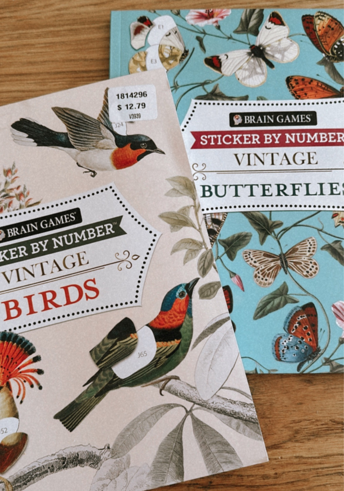 Brain Games for school. 