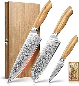 Damascus Kitchen Knife Set, 3 PCS Japanese Chef Knife Set, 67-Layers Damascus Knife with Original... | Amazon (US)