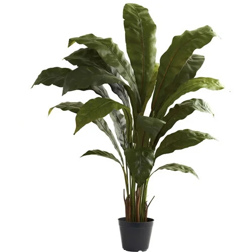 Nearly Natural 3.5ft. Birds Nest Artificial Plant, Green - Walmart.com | Walmart (US)