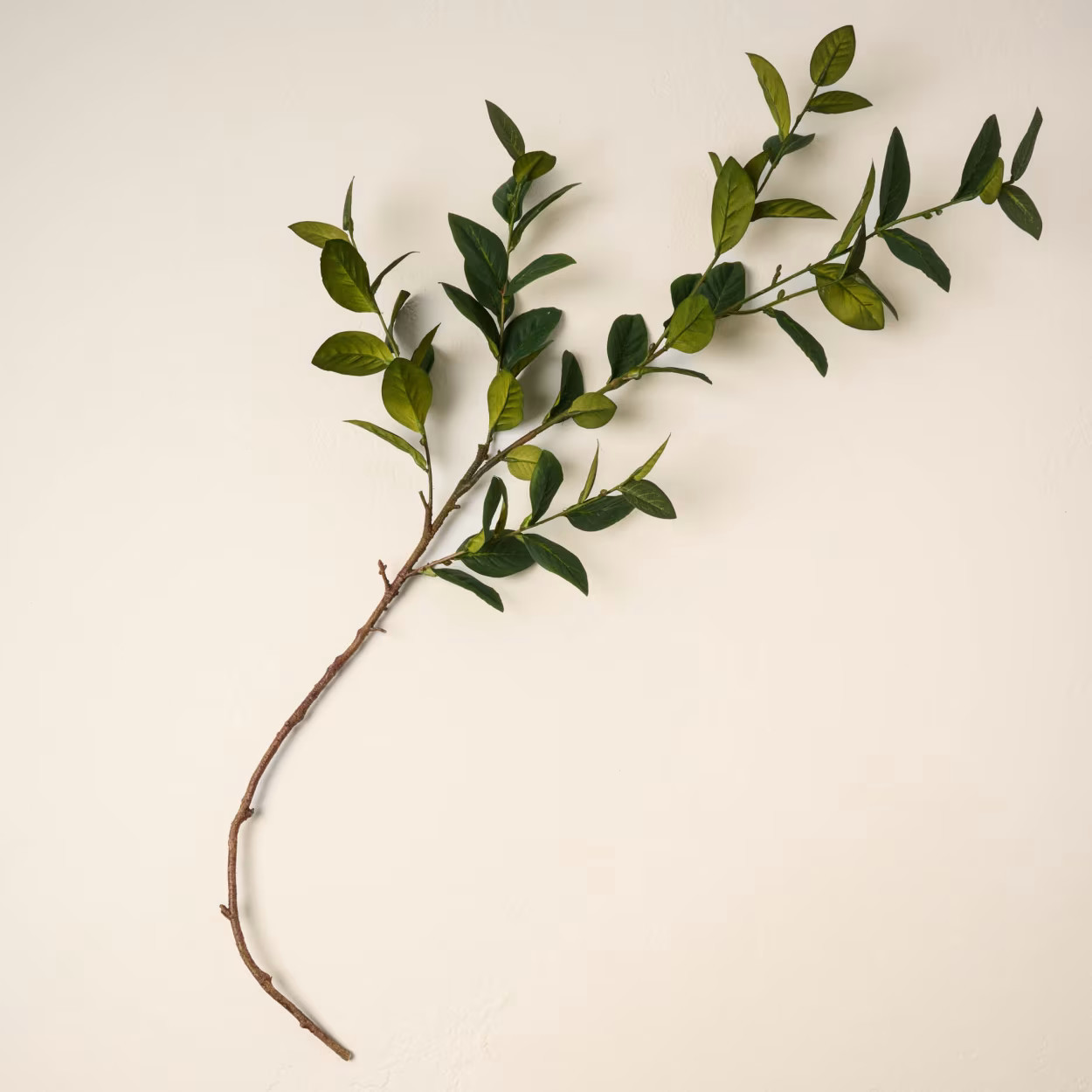 Large Leaf Spray | Magnolia