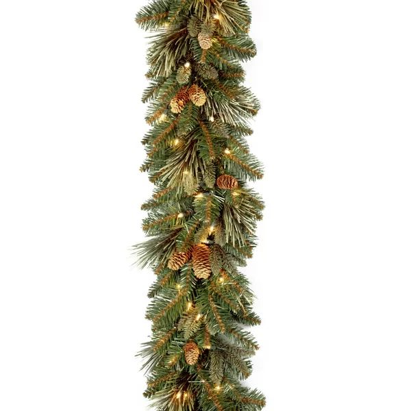 9' Carolina Pine Pre-Lit Garland with 100 Warm Lights | Wayfair North America