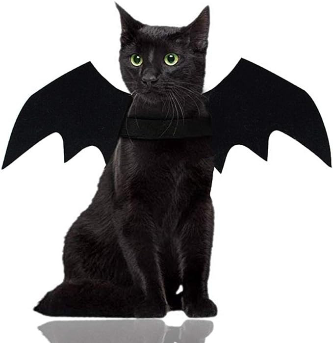 Malier Halloween Cat Costume for Cats Dogs Pet Bat Wings Cat Dog Bat Costume Wings | Amazon (US)