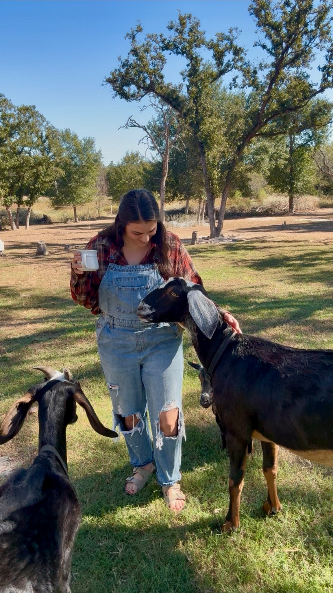 Fall on the farm 🍂