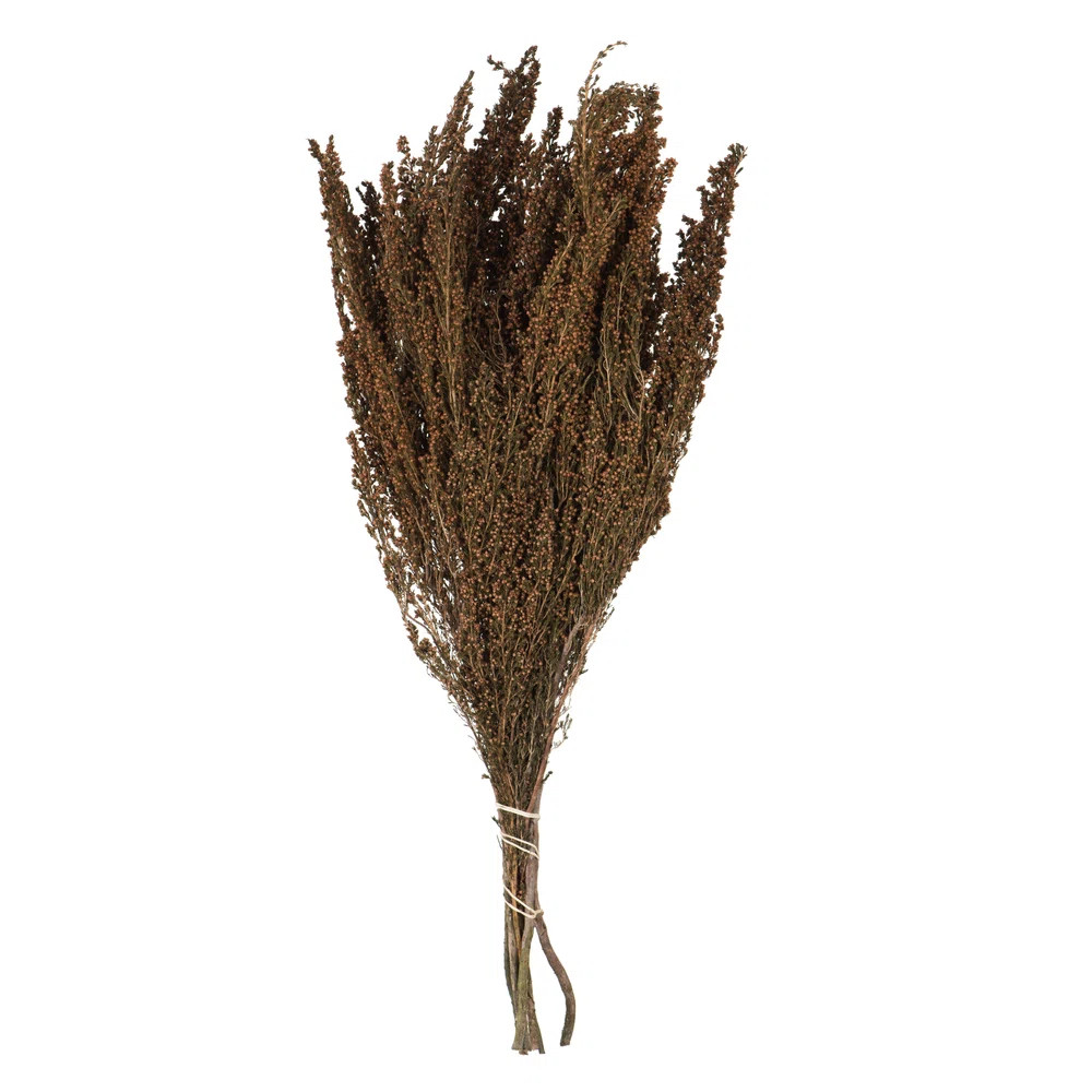 18-20" Brown Heather - 4-5 oz Bundle, Preserved | Wayfair North America