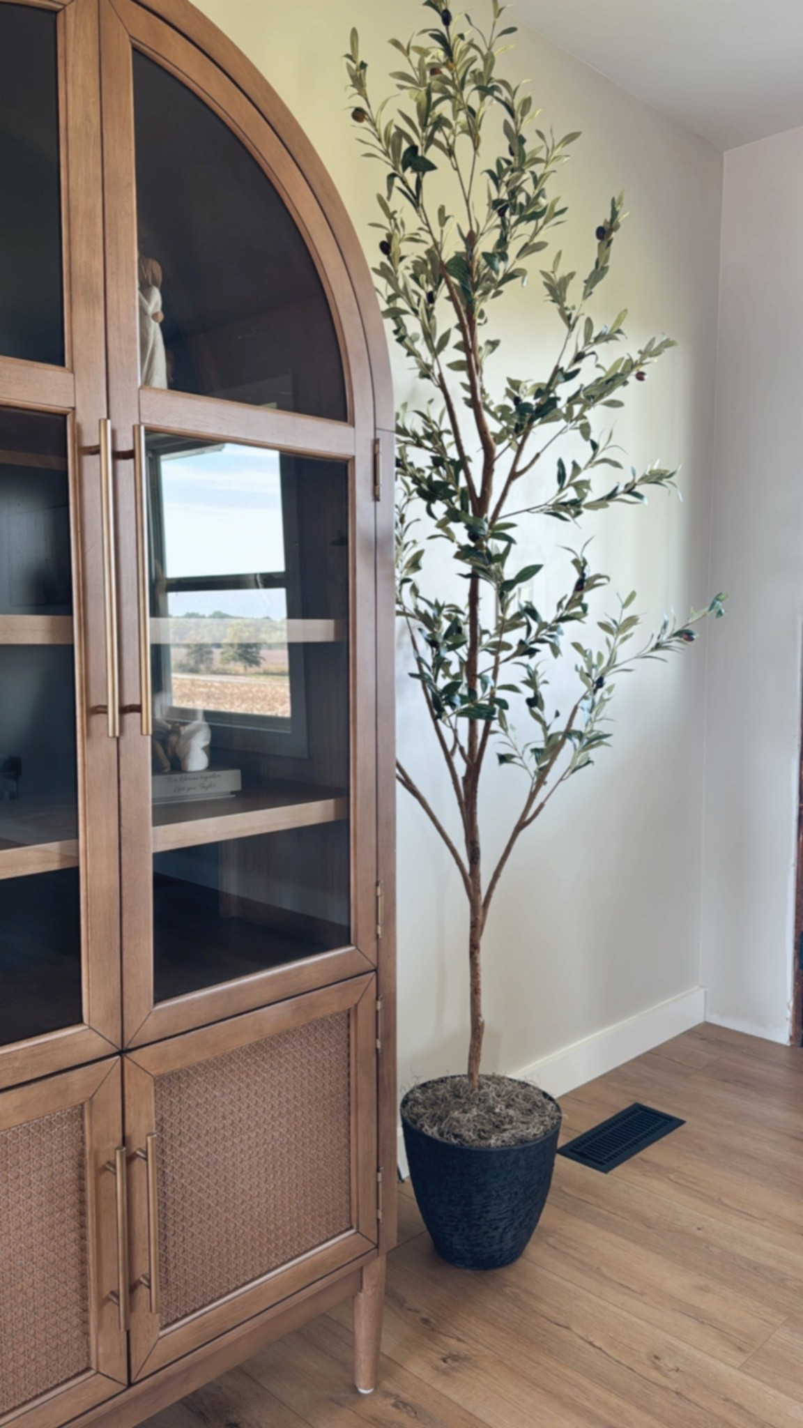 My favorite olive tree! Found it on sale!

Home decor, Walmart home decor, faux tree

#LTKSaleAlert #LTKSeasonal #LTKHome