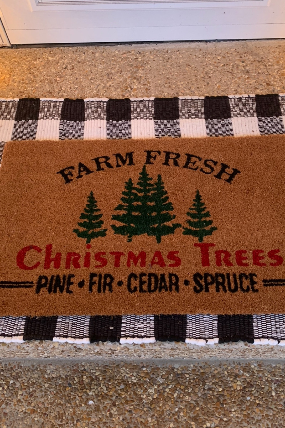 Spruce up the front door with a Buffalo plaid 🖤🤍 rug and a jute mat.

#ltkhome

#LTKSeasonal #LTKHoliday #LTKfindsunder50