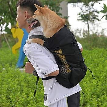 Woolala Dog Backpack Carrier Rucksack Puppy Head Out Front Pack with Waterproof Lining, Small Pet... | Amazon (UK)