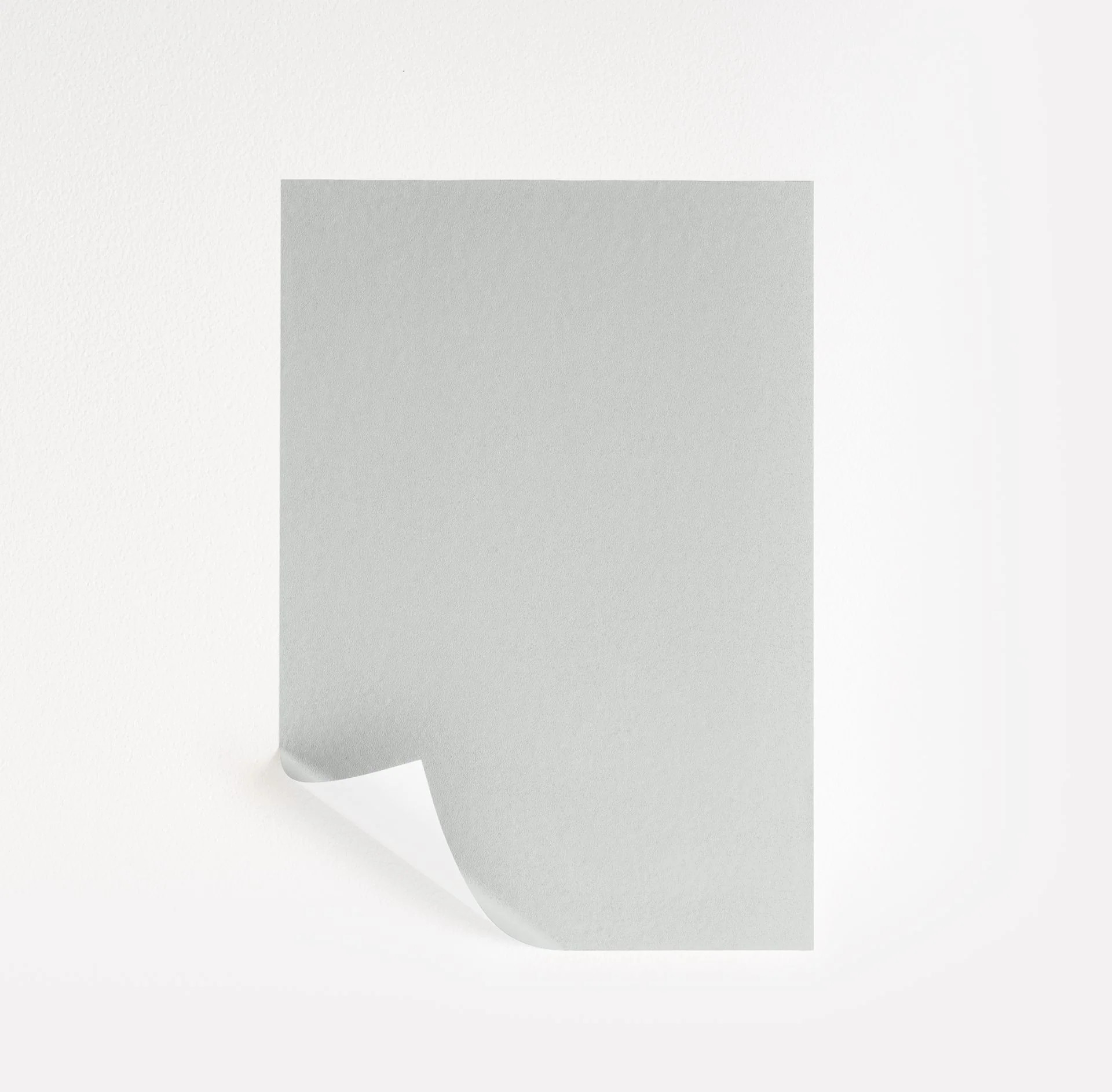 Site White Paint Sample by Sherwin-Williams (7070) | Peel & Stick Paint Sample | Samplize