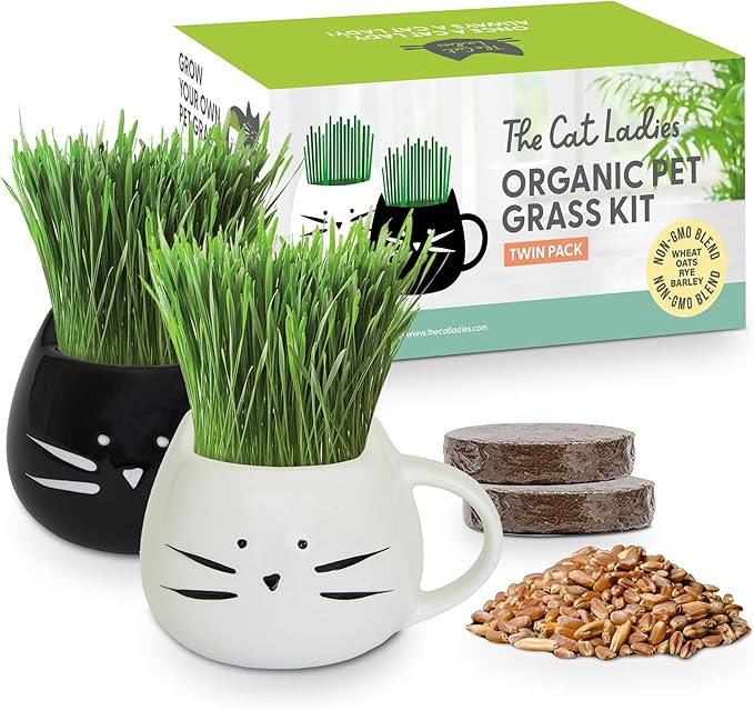 The Cat Ladies Cat Grass Growing Kit with Organic Cat Grass Seed Mix, Soil and Two Cat Grass Plan... | Amazon (US)