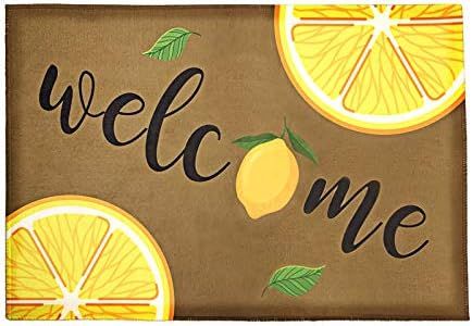 Sfcddtlg Fresh Lemon Indoor Doormat Entrance-Brown Welcome Non Slip Floor Mat for Summer Bathroom... | Amazon (US)