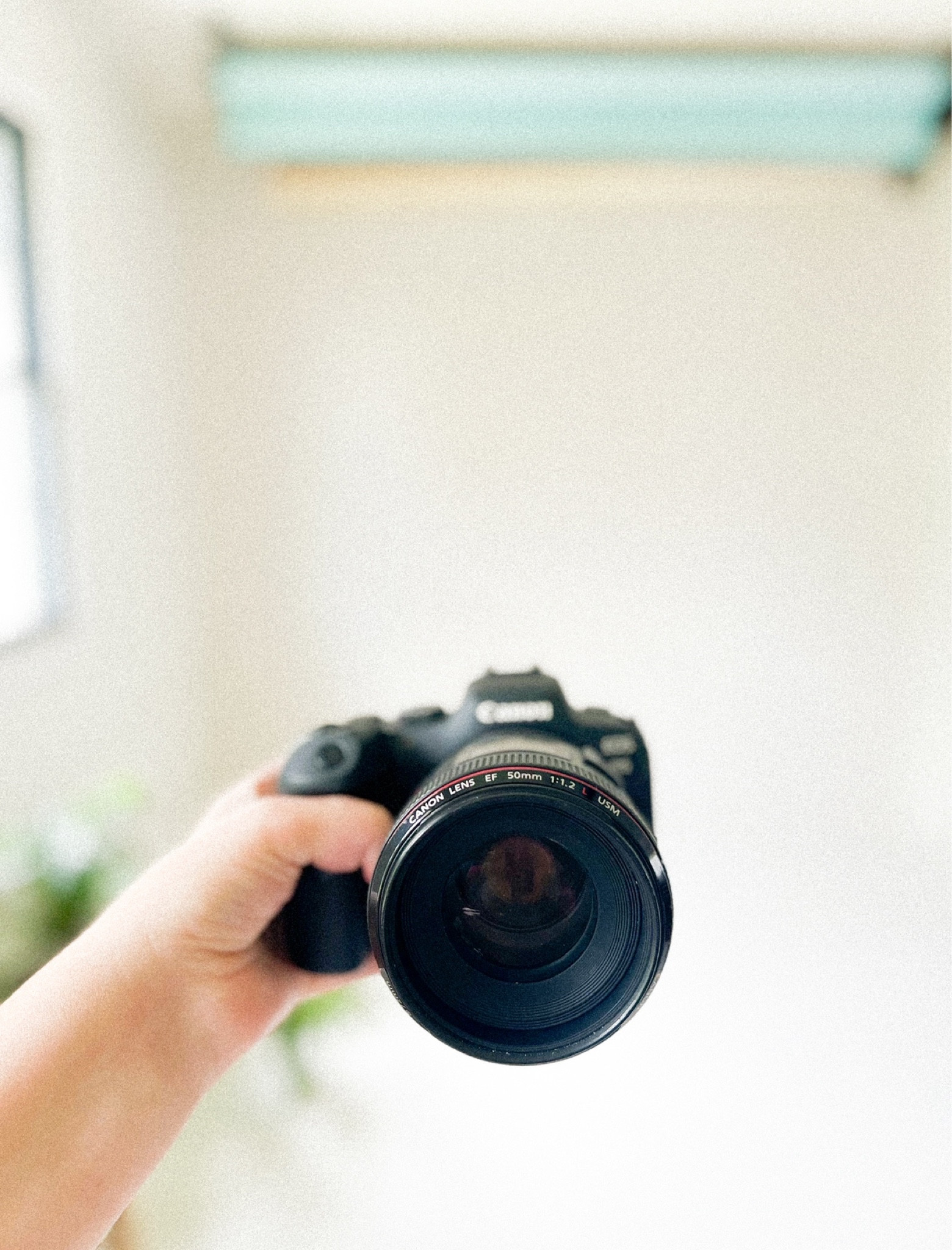 Our photo gear for weddings and sessions!📸