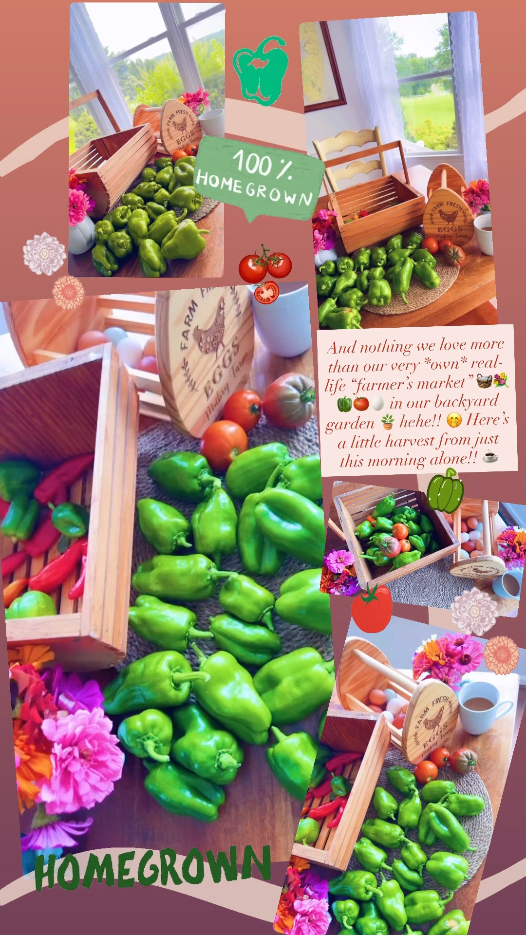 And nothing we love more than our very *own* real-life “farmer’s market” 🧺💐🫑🍅🥚 in our backyard garden 🪴 hehe!! 🤭 Here’s a little harvest from just this morning alone!! ☕️