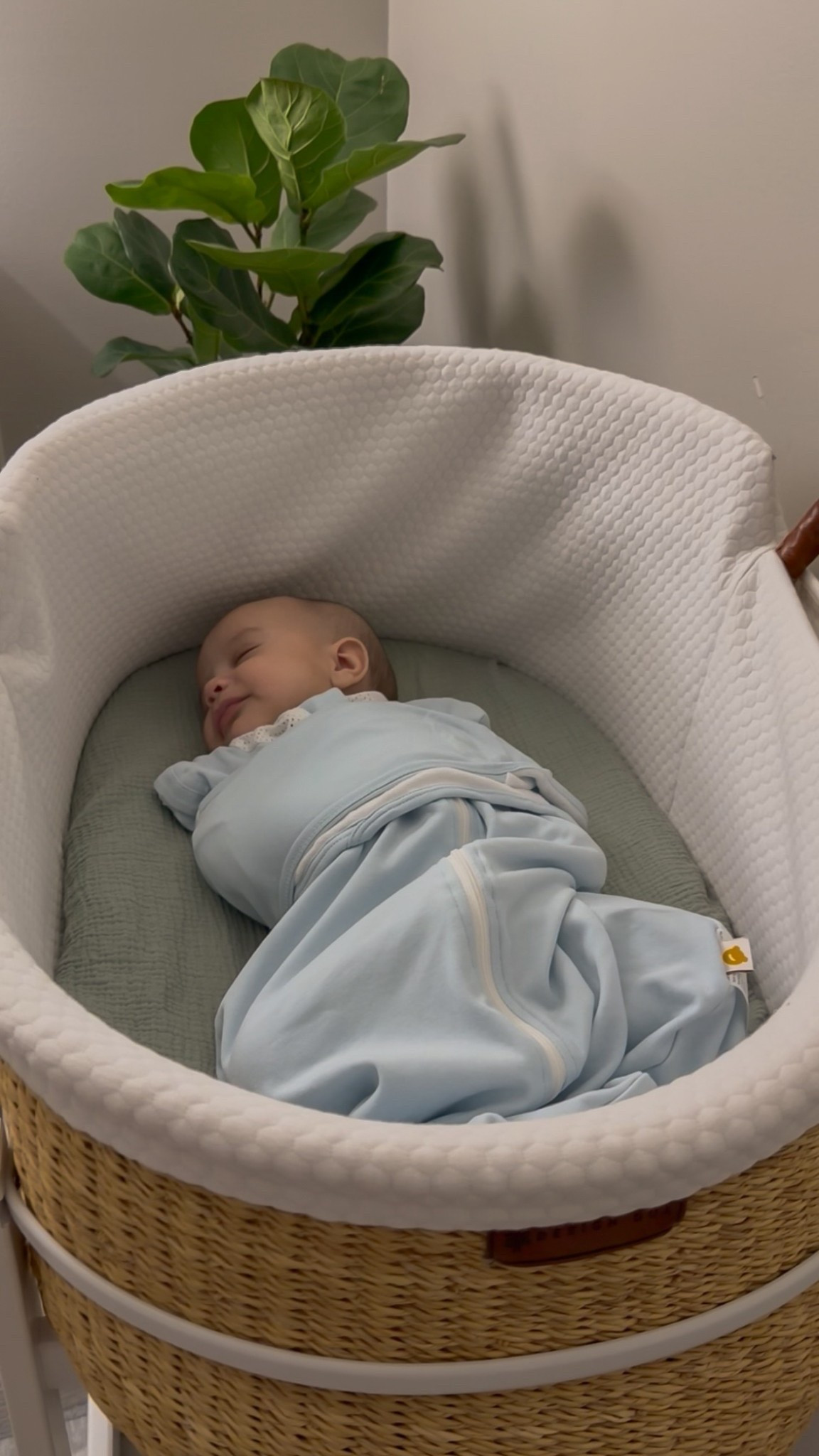 The swaddle that actually helps everyone sleep 🤍✨ This breathable cotton swaddle has a mesh design and 3-way adjustable wrap so baby stays cozy without overheating.  

#LTKKids #LTKBaby #LTKmomlife