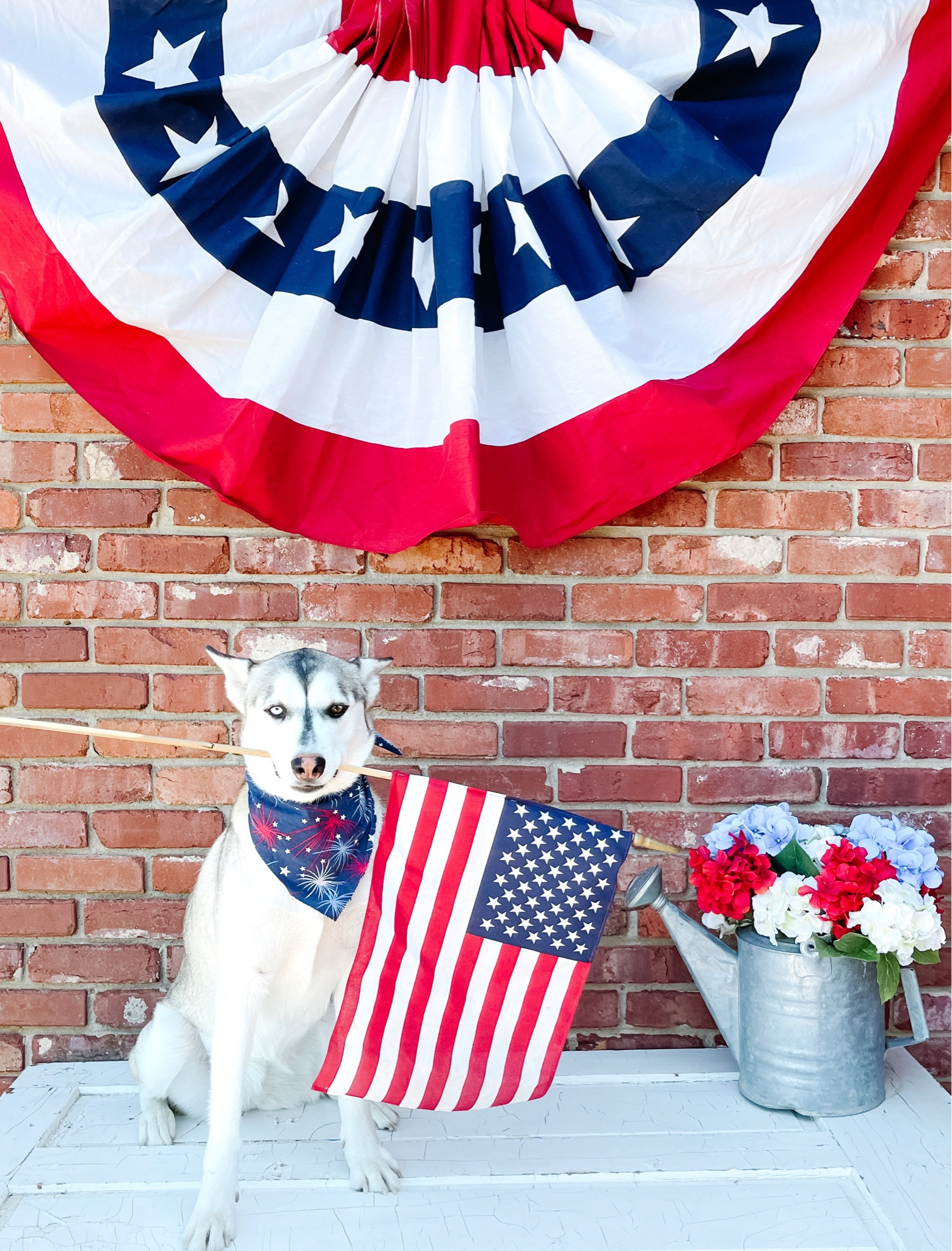 Happy 4th! Celebrate in style  

#LTKhome #LTKSeasonal