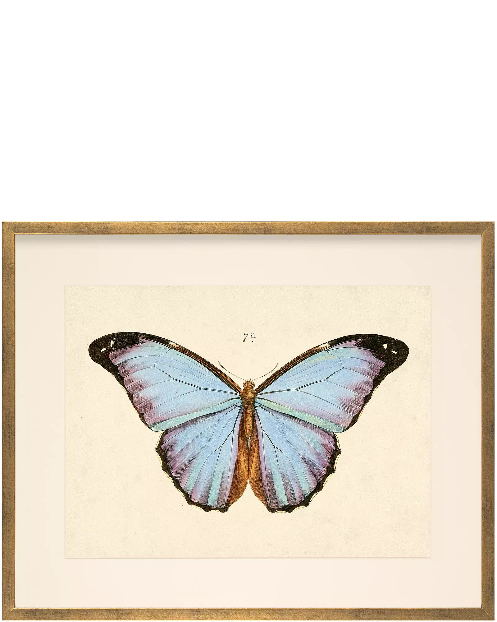 "Butterfly Series" by Whalebone Creek | Serena and Lily