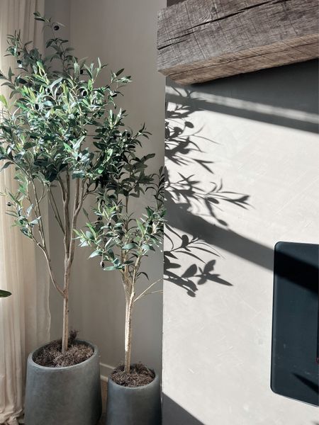 Faux tree - olive tree - home decor 

#LTKFind #LTKhome #LTKstyletip