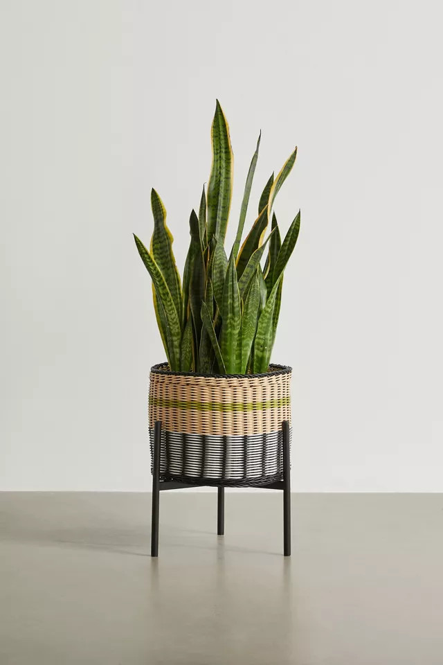 Caity Woven Planter | Urban Outfitters (US and RoW)
