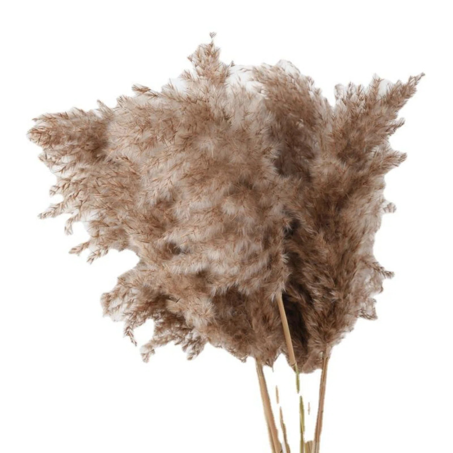 10 Pcs Fake Plants Faux Pampas Grass Decor Artificial Pompas Grass Floral Fluffy Floor Vase Fille... | Wayfair North America
