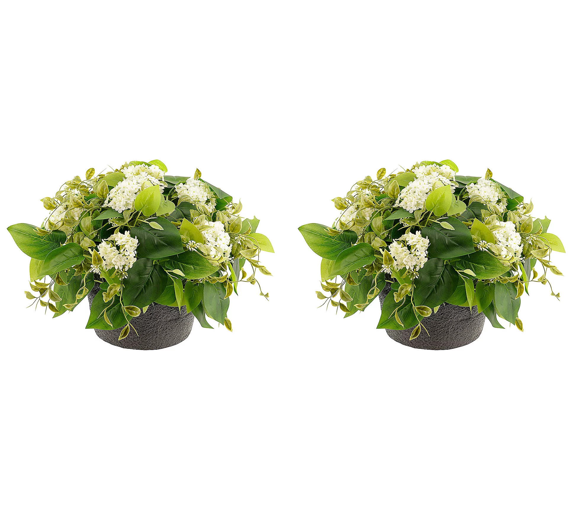 Haute Decor 24" Hydrangea Urn Filler w/ Adjusta le Height, S/2 | QVC