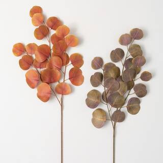 33" Rust Silver Dollar Eucalyptus - Set of 2; Multicolor | The Home Depot