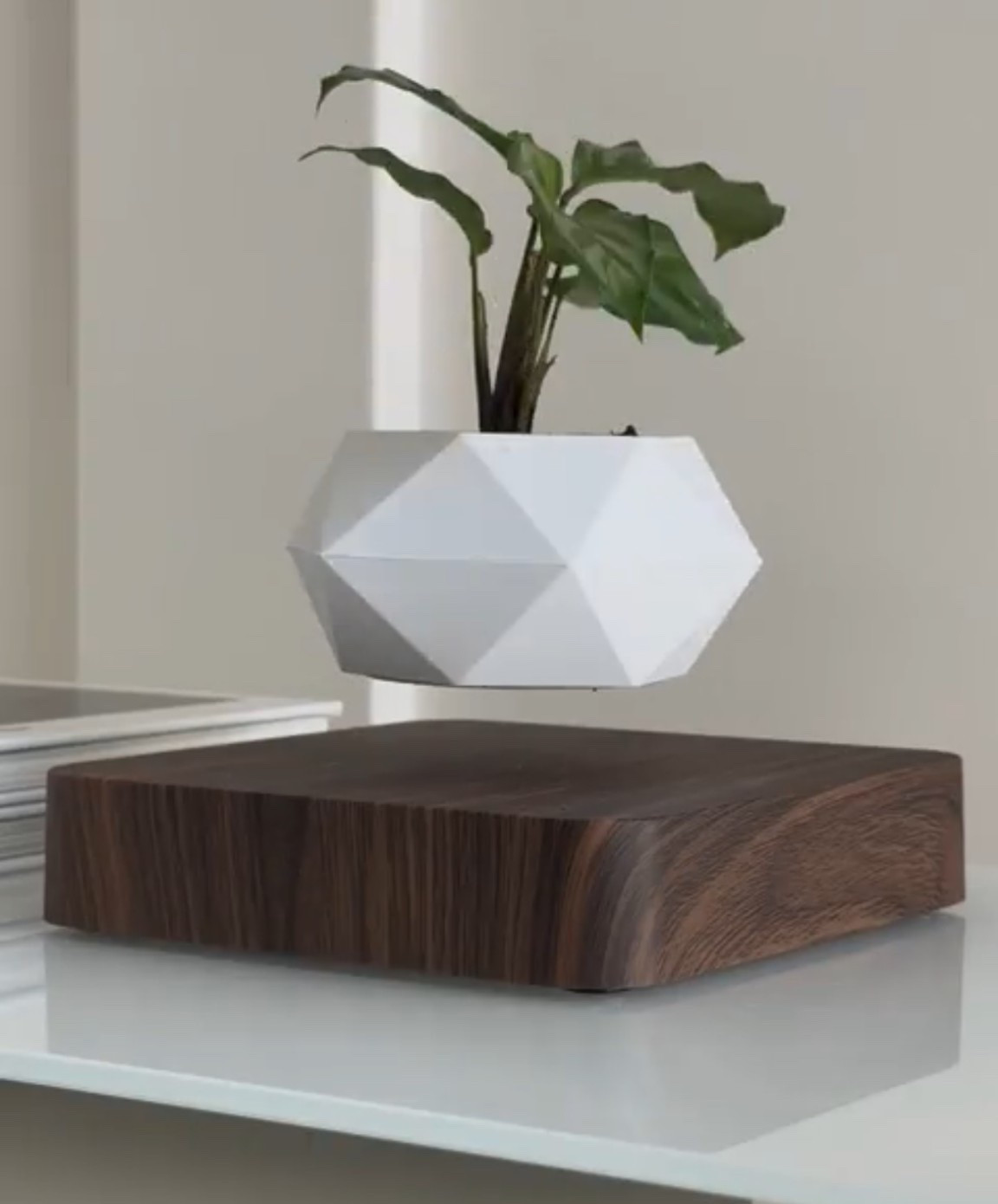 Scroll to shop!! Follow for more!!! Xo! ✨

#LTKFindsUnder50 #LTKGiftGuide #LTKHoliday