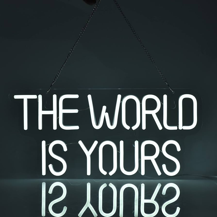 17" by 8" inch LED Neon White The World is Yours Dimmable Light Switch Wall Sign for Cool Light, ... | Amazon (US)