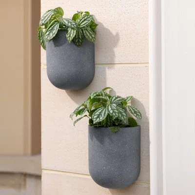 Wall Hanging Planters For Indoor Plants,Hanging Flower Pots For Air Plants Succulent, Set Of 2, 5.7L*4.1W*7H, Weathered Gray | Wayfair North America
