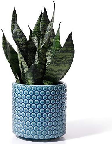 Planters Pots for Plants Indoor - POTEY 054304 6 Inch Ceramic Vintage Style Polka Dot Patterned P... | Amazon (US)