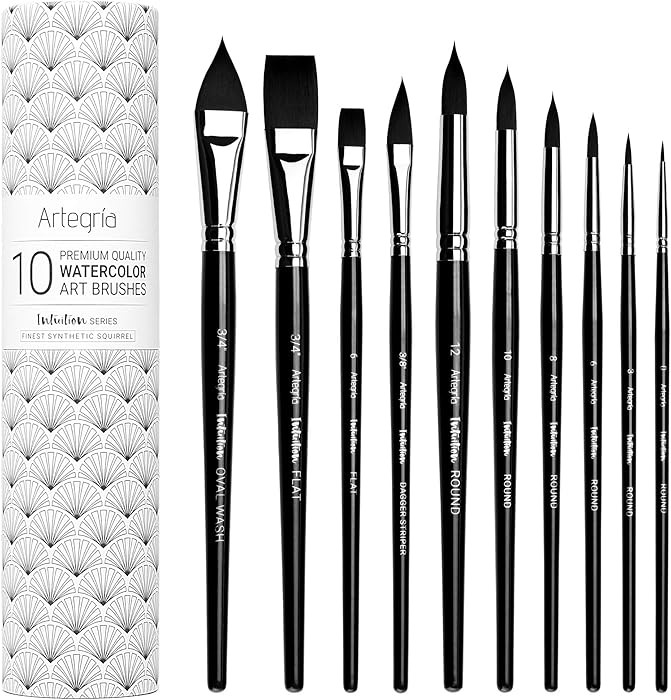 ARTEGRIA Watercolor Brush Set, 10 Professional Soft Synthetic Squirrel Paint Brushes, Including P... | Amazon (US)