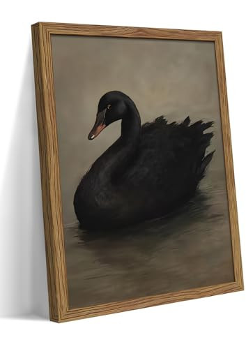 Framed Black Swan Wall Art, Dark Academia Gothic Swan Canvas, Vintage Victorian Animal Pictures Prints, Rustic Farmhouse Wall Decor for Living Room Bedroom Bathroom – 8x10 inch | Amazon (US)