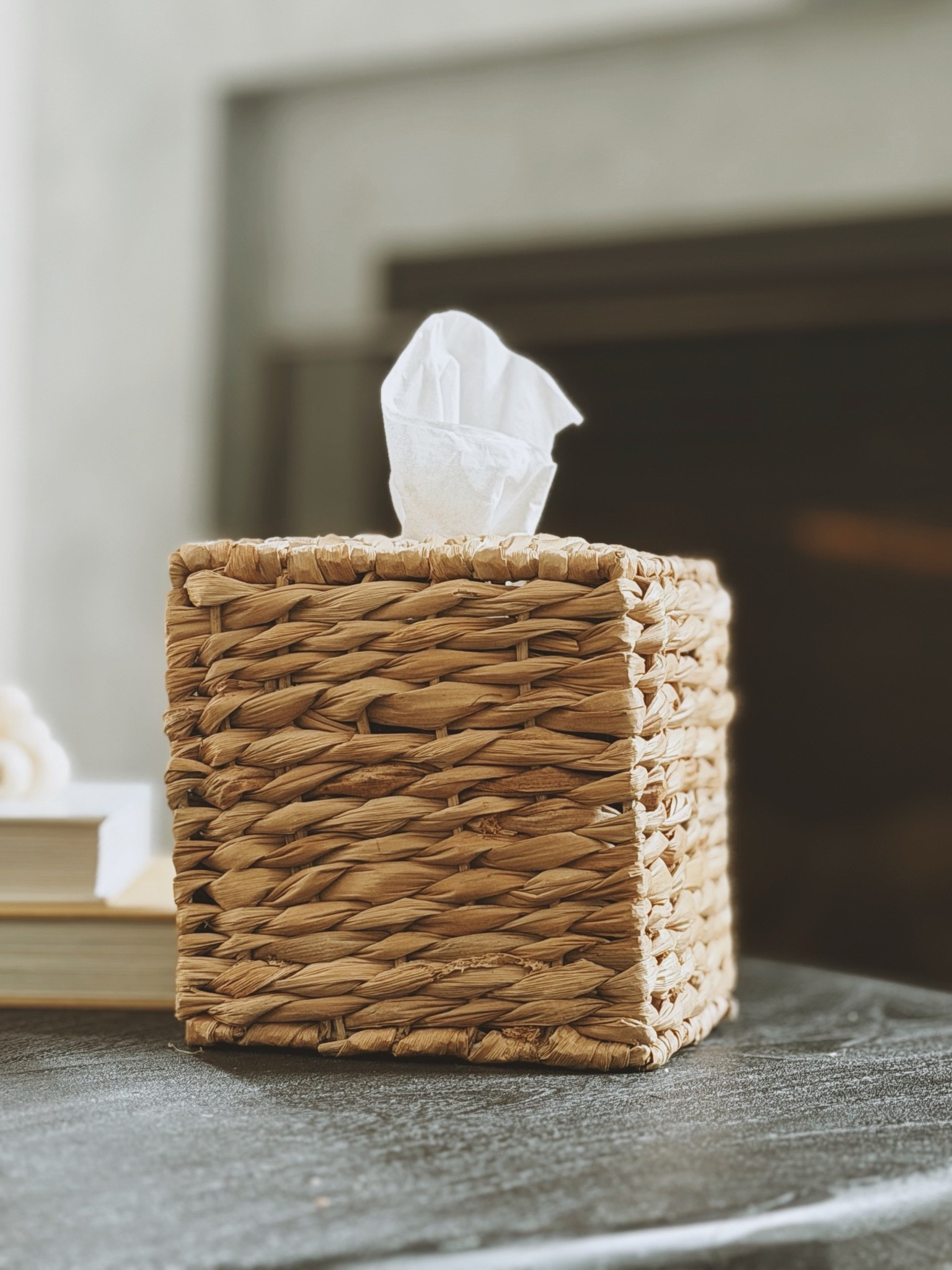 Fall Decor ideas  🍂 
Woven storage 
Kleenex cover

#LTKcanada #LTKfall #LTKhome