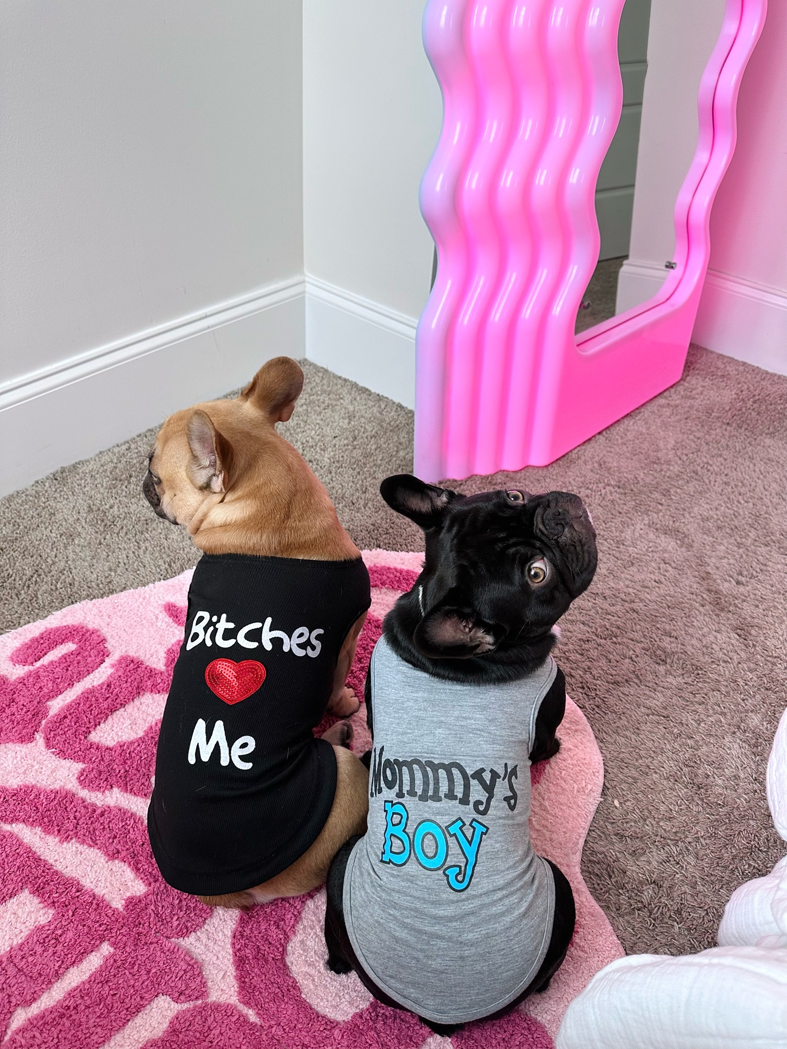 sm different colors/styles in both dog shirts - so cute I can’t take it (both wearing Larges) 🤍

Dog accessories, pet accessories, dog clothes, dog mom, pink aesthetic, pink room decor, pink bedroom, amazon dog finds, amazon pet finds, pet finds. Dog clothing. Frenchies. French bulldogs. #LTKstyletip #LTKSale #LTKbeauty #LTKFind #LTKkids

#LTKfamily #LTKbaby #LTKhome