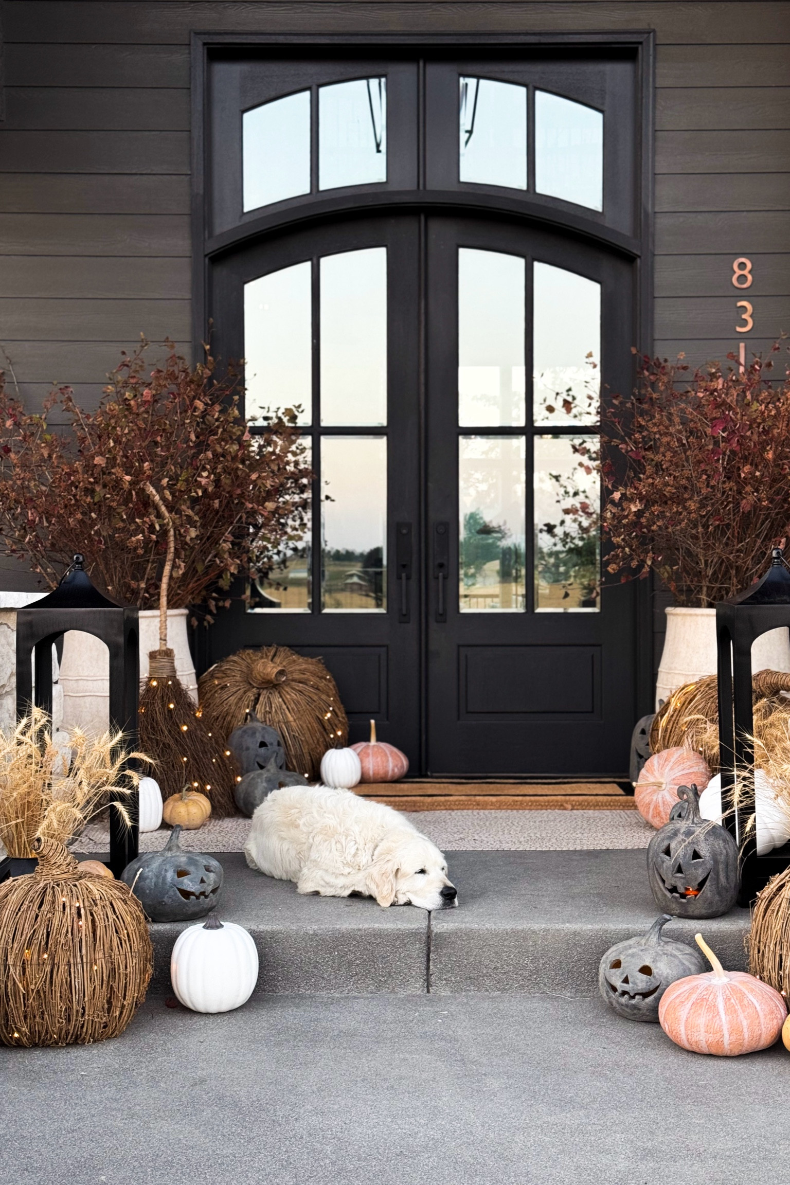 Loving this front porch fall decor!

front porch  fall decor  home decor  seasonal decor  front porch inspo  fall front porch  modern home  neutral decor  ourpnwhome 

#LTKSeasonal #LTKHome