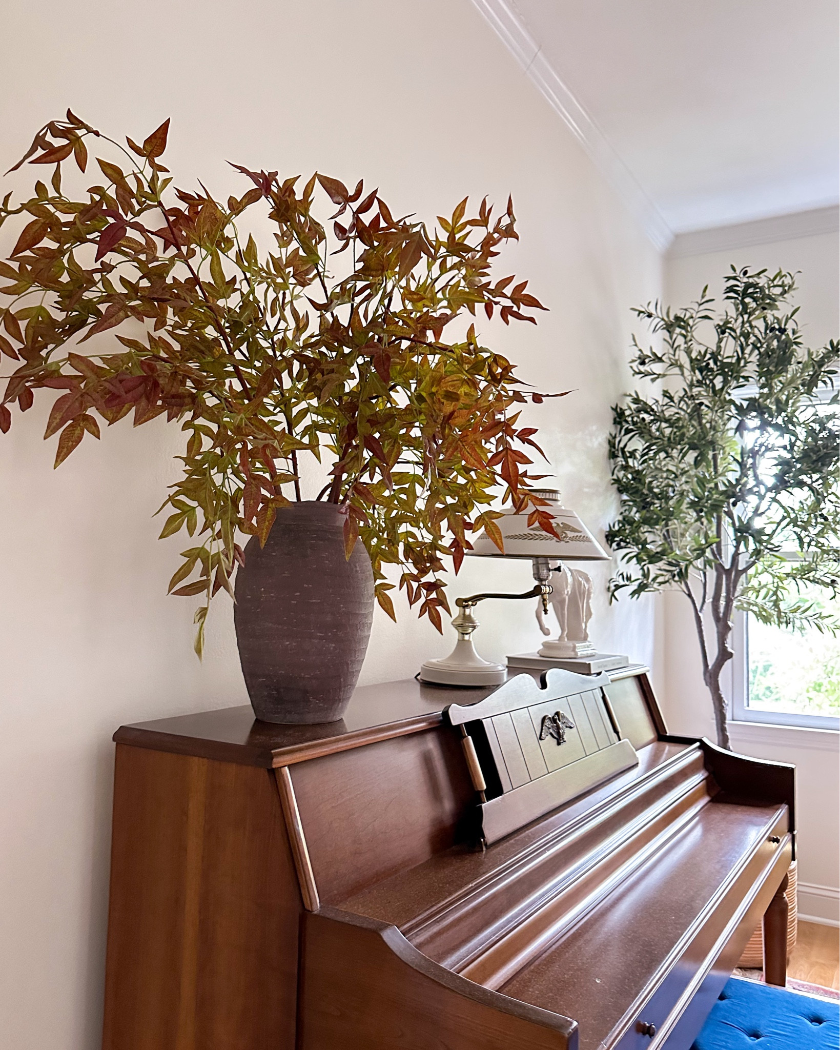 A new addition to my fall styling this year are these pretty Nandina stems from Afloral. I’m using four in this tall clay vase which is plenty to achieve a full look. 

#LTKSeasonal #LTKVideo #LTKHome