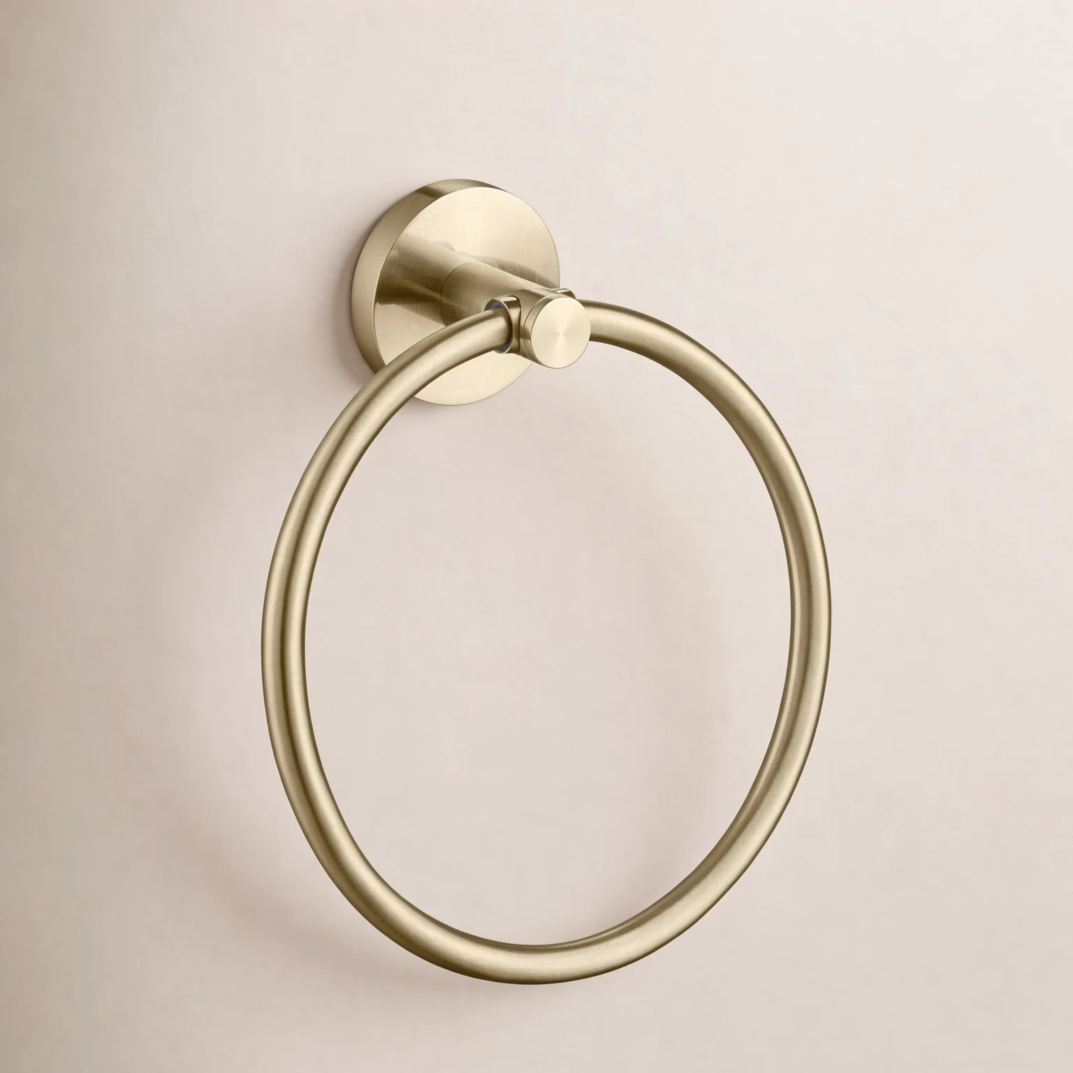 Circular Towel Ring | Joss & Main